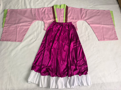 Traditional outfit with pink top and purple skirt on a white background